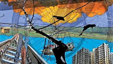 Pattern of Bangladesh