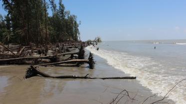 Patuakhali Pic-2.jpg