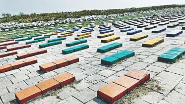 Payra with paint 1.jpg