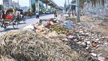 pedestrians neglected 1.jpg