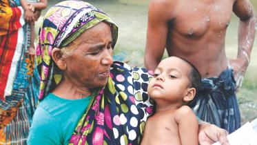 peticide in litchi.jpg