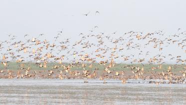 Photo- IUCN, taken from Tanguar Hoar (2).JPG