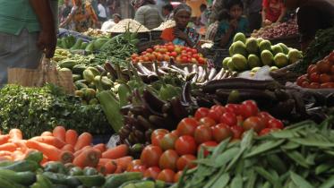 Photo 1-- Unedited.JPG