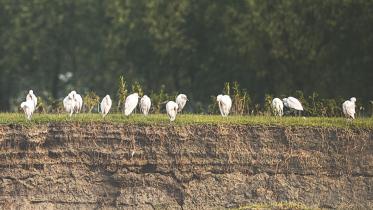 photo background 2.jpg