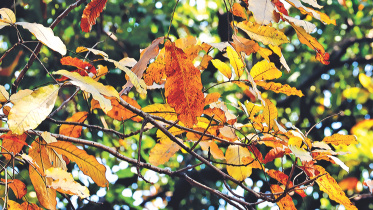 Photo of the day.jpg