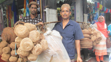 Palm Tree Fiber Product