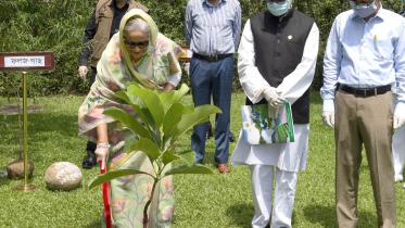Prime Minister Sheikh Hasina