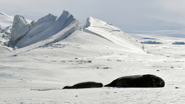 Ross Sea at the Scott Base in Antarctica