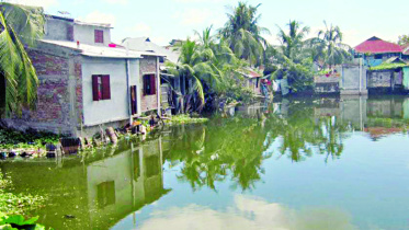pond.jpg