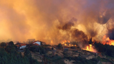 portugal fire.jpg