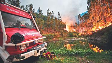 portugal fire 1.jpg
