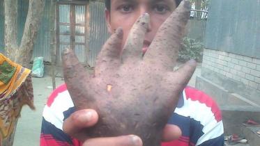 Potatoes-hand.jpg