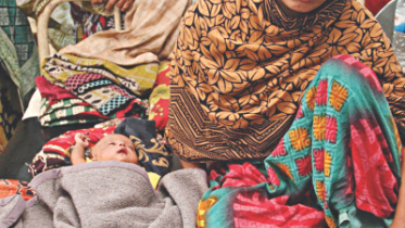 Pre-pregnancy BMI.jpg