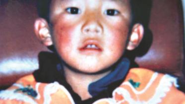 punchen lama.jpg