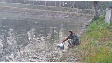 Pure water without filter.jpg