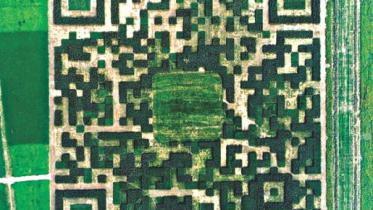 qr.jpg