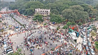 freedom fighters quota in govt service