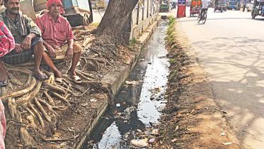 rajshahi mosquito situation.jpg