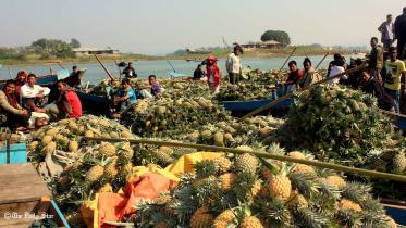 Rangamati-pineapple-photo-(2).jpg
