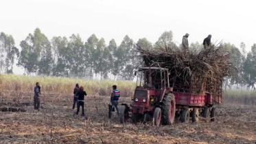 Rangpur Sugar Mills.jpg