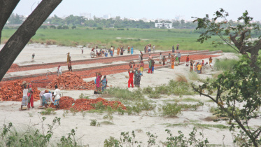 real estate developers.jpg