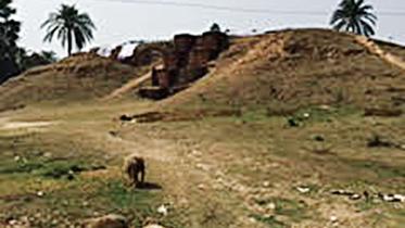 reclaimed hill at Dwipganj.jpg