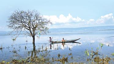 Reclusive Beauty0.jpg