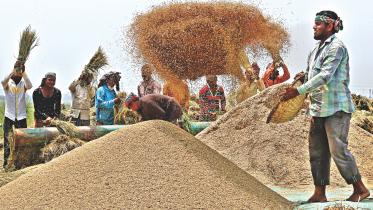 Rescue plan farmers.jpg