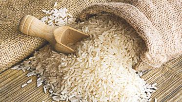 Bangladesh rice import