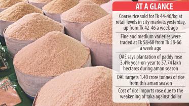 Rice prices creeping.jpg