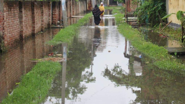 road at Shalgaria.jpg
