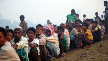 rohingya