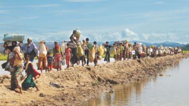 BGB-BGP conducts joint patrol border