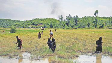 Rohingyas try to enter Bangladesh