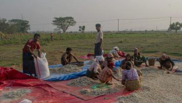rohingya.jpg
