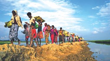 Rohingya refugee crisis 1.jpg