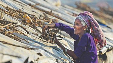 Rohingya refugee woman.jpg