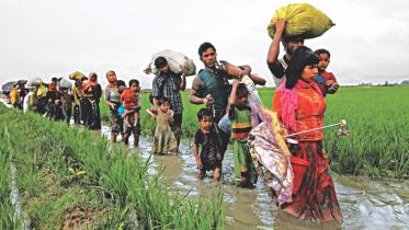 Rohingya refugees