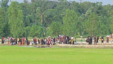 rohingya under attack.jpg