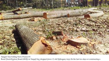 Rural Electrification Board