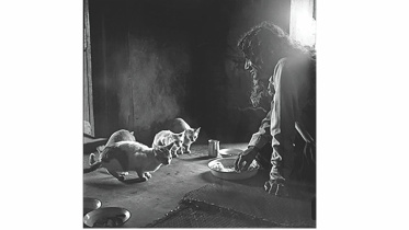 s m sultan tribute.jpg