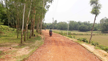 Sakhipur upazila.jpg