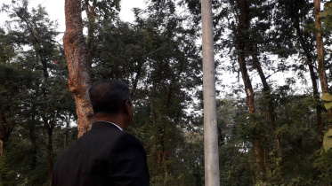 Santoshpur Reserve Forest 1.jpg