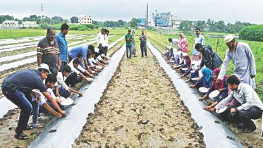 School students farming.jpg