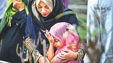 Star Day at a Glance