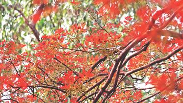 Season Of Change  1.jpg