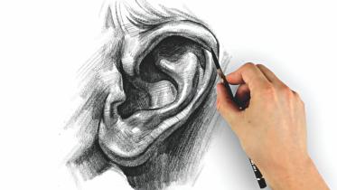 Seasonal ENT problems