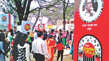 section of the fair.jpg