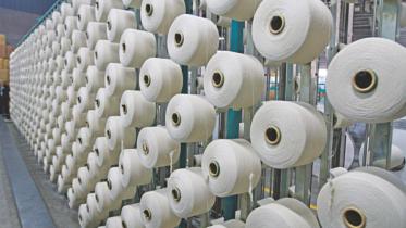 Sector leaders forecast.jpg