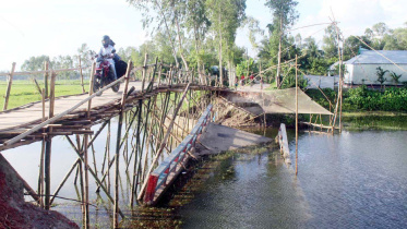 Shaky bamboo bridge.jpg